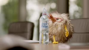 Stuffed animals crack the marketing game 